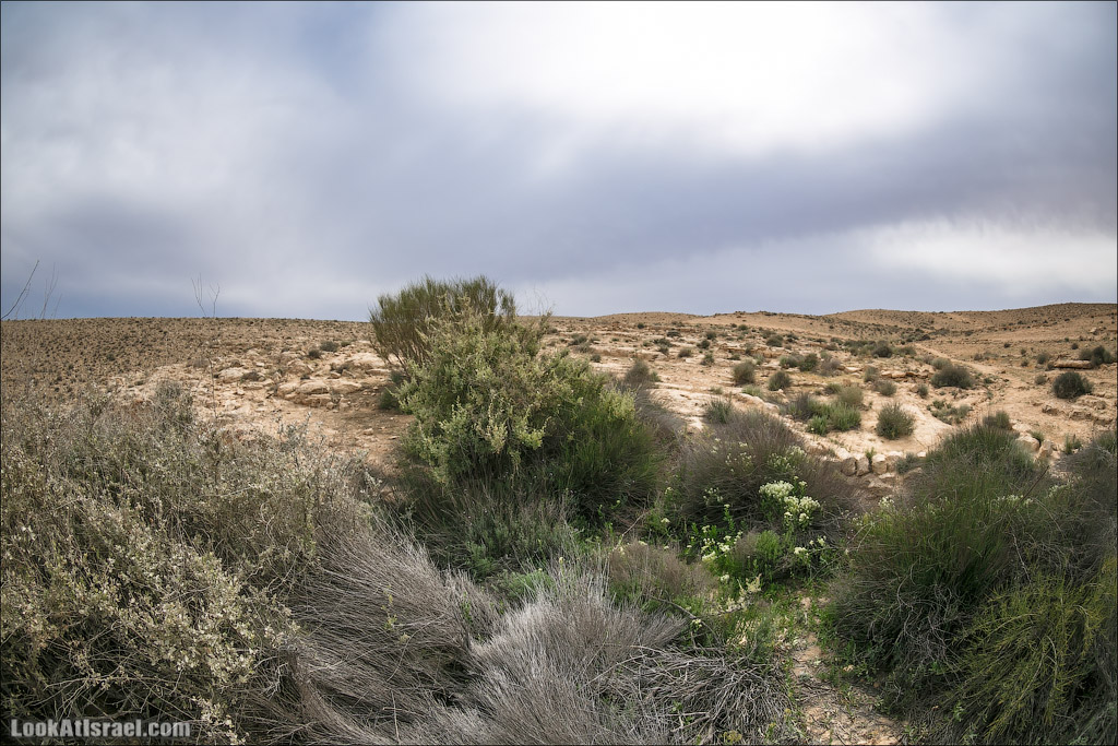 Водоёмы (колодцы) Луц | Lutz cisterns | בורות לוץ | LookAtIsrael.com - Фото путешествия по Израилю