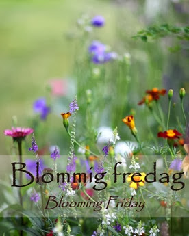 1-Blommig fredag