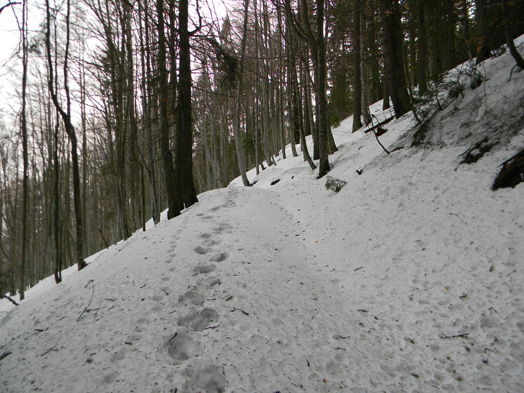 [DSCN64363.jpg]