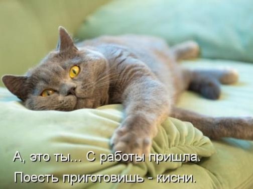 [a93874dc1718a2b7f76bddd99a5_prev%255B3%255D.jpg]