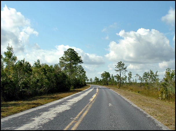 19 - 38 mile drive through Everglades to Flamingo