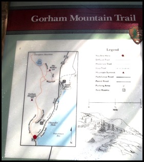 Gorham Mountain Hike 018