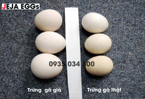 Chuyên phân phối trứng gà công nghiệp, trứng vịt sỉ/lẻ - giá rẻ tại tphcm - 7