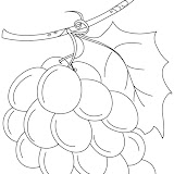 grapes-coloring-page-6.jpg