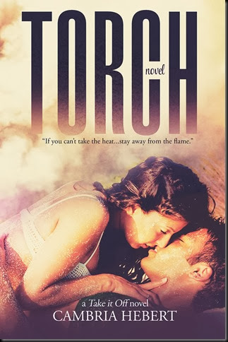 Torch Cover