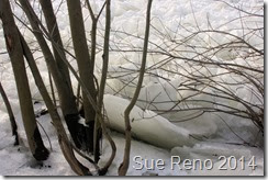 Ice on the Susquehanna River, 2/2014, by Sue Reno, Image 10
