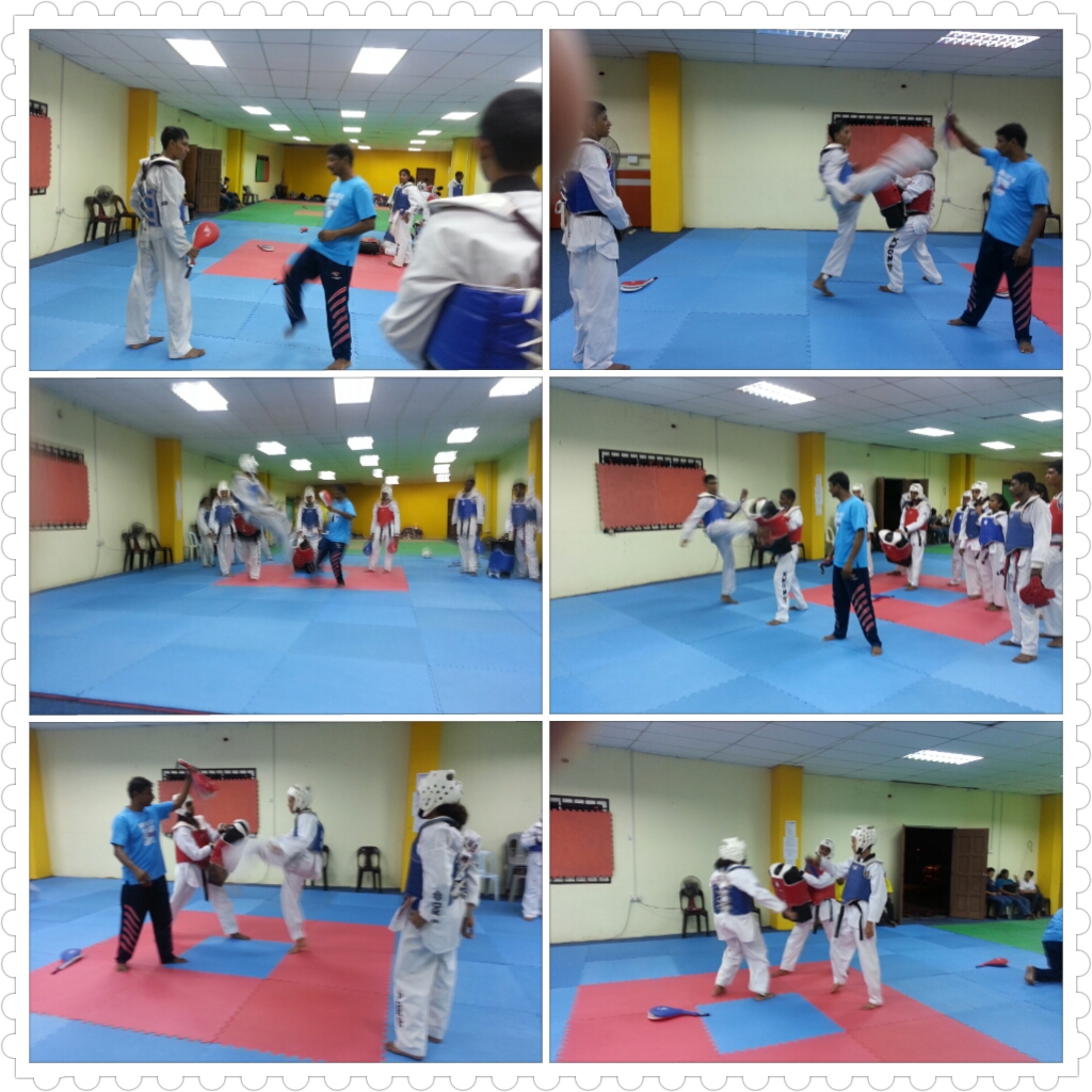 UNIT SUKAN PRESTASI TINGGI NEGERI JOHOR: February 2013