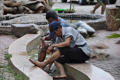 DSC_0980.JPG
