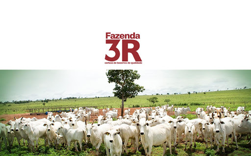 免費下載娛樂APP|Fazenda 3r Figueirão - MS app開箱文|APP開箱王