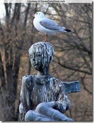 Estatua e pombo