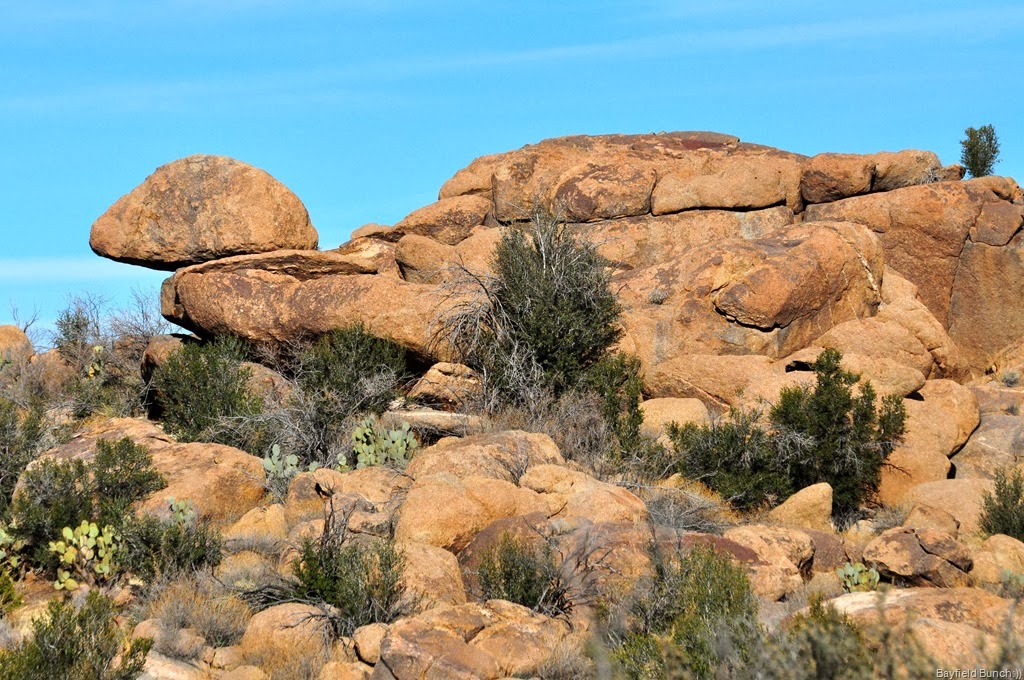 [DSC_0003%255B3%255D.jpg]