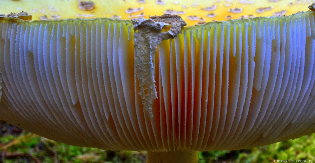 [DSC_0016%255B3%255D.jpg]