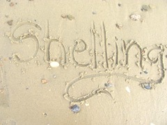 Cape Cod writing in the sand shelling