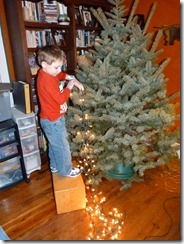 2011-12-19 decorating tree 003