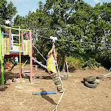 Flying fox