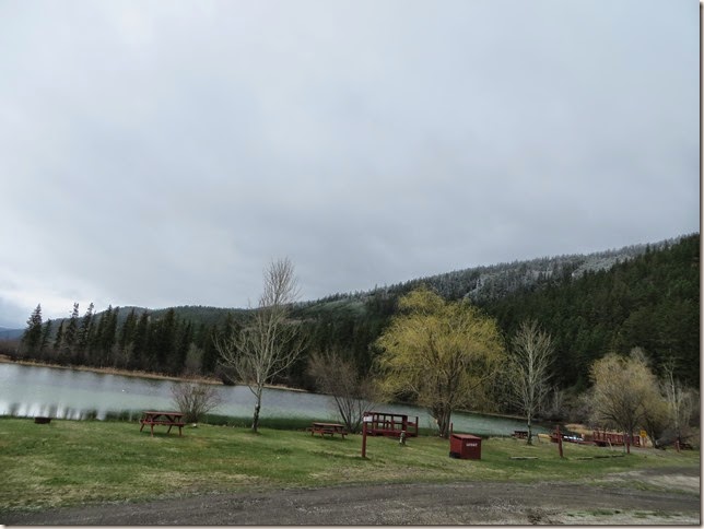 IMG_0513 IMG_0513