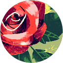 Image Google de Emma D