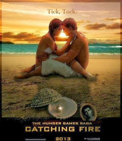 Catching-Fire-the-hunger-games-34213260-500-560
