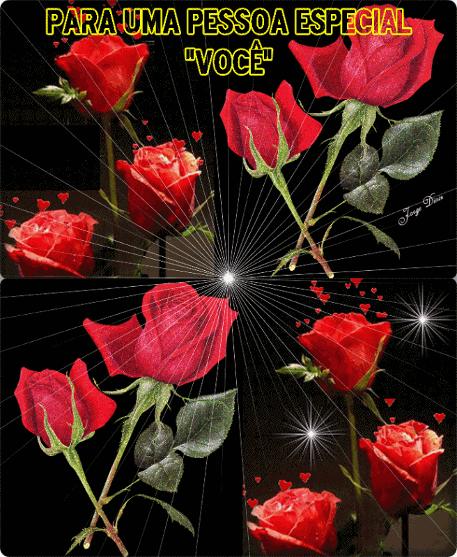 Voce1.gif