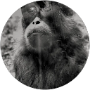 Image Google de Delphine Ctn