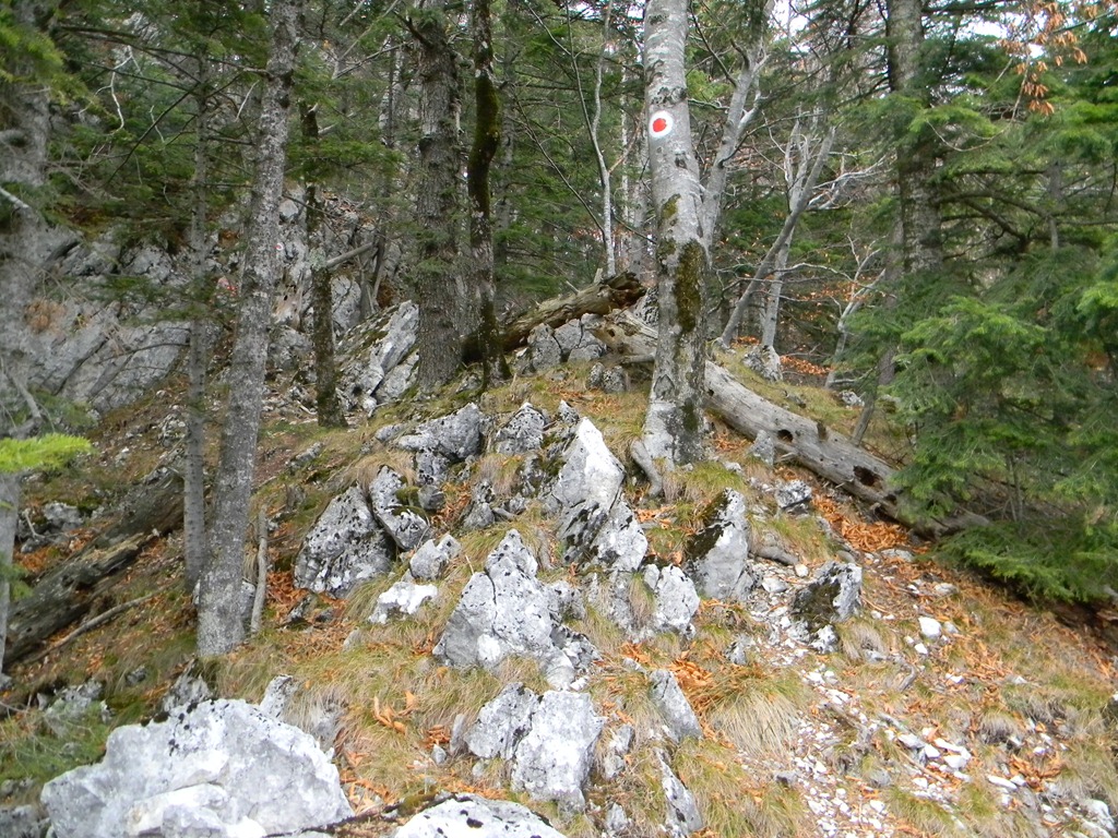 [DSCN19383.jpg]
