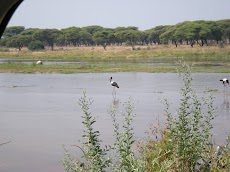DSCN5995.JPG