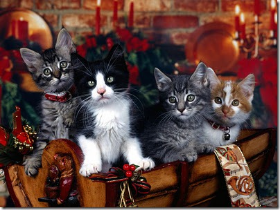 wallpapers%252520navidad%252520%25252819%252529_thumb