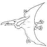 pteranodon.jpg