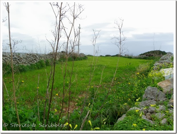 Nadur 001 Nadur 001