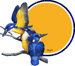 blinkie-bluebirds-hpsp10