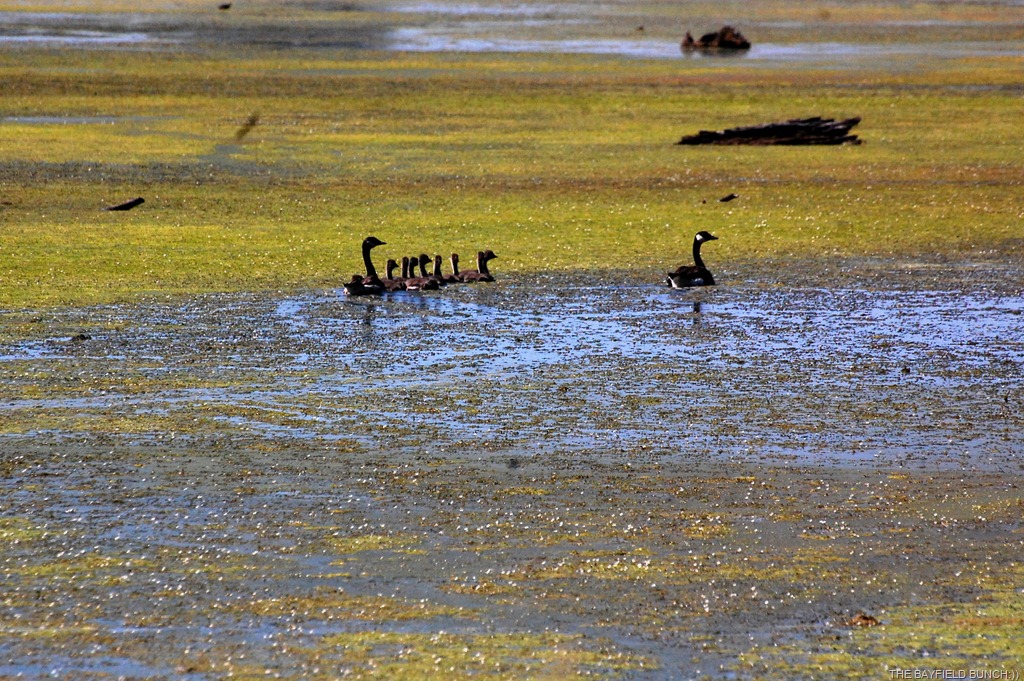 [DSC_6632%255B4%255D.jpg]