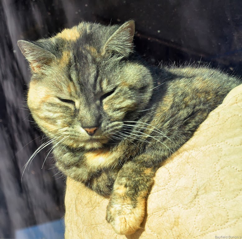 [DSC_0004%255B4%255D.jpg]