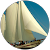 Bertil Vermeulen Bertil Vermeulen