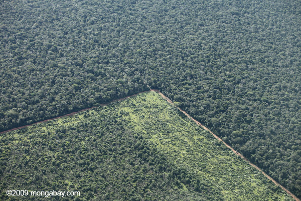 Aerial view of forest edge in Mato Grosso, the Southern Amazon. Photo: mongabay.com