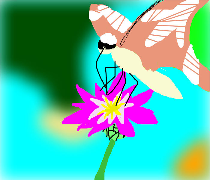 sketching a spring picture