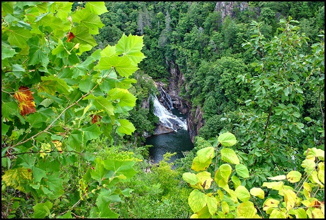 25h5 - South Rim Trail - View of Gorge