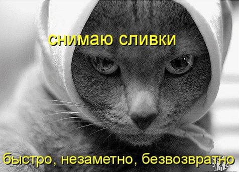 [1290859829_9%255B4%255D.jpg]