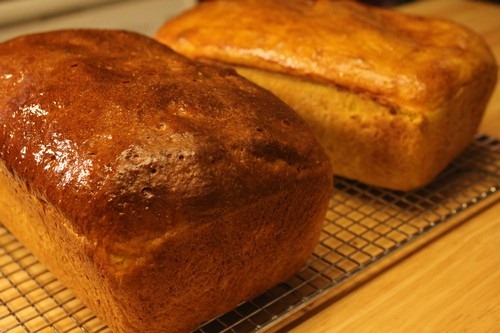 [pumpkin-yeast-bread029%255B9%255D.jpg]