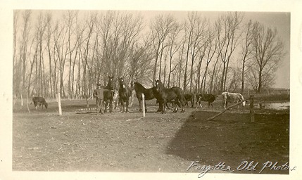 1922 Farming Photo