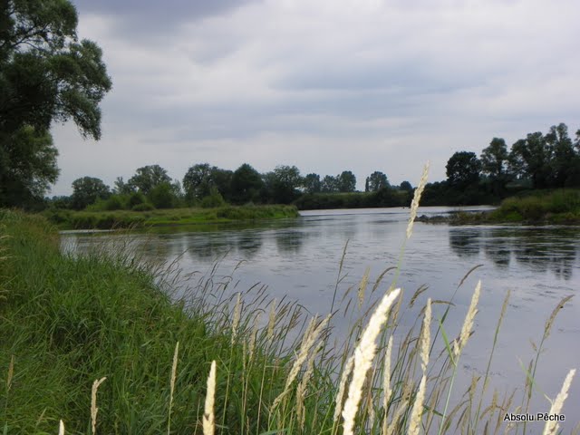 Loire à l&#039;embouchure de l&#039;Aix photo #852