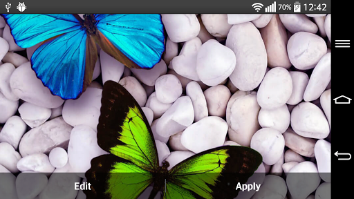 免費下載個人化APP|Butterfly Live Wallpaper app開箱文|APP開箱王