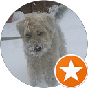 golden girl profile picture