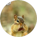 crystalnicole30906 .s profile picture