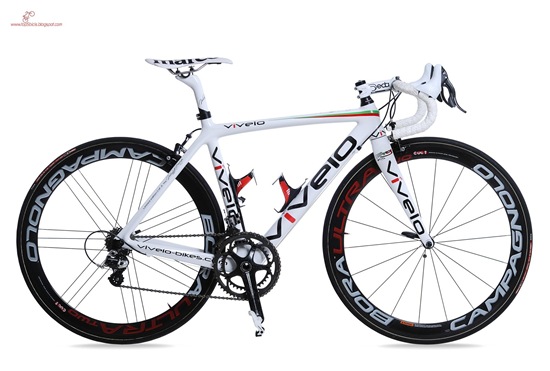 vivelo-erg-rs-limited-1