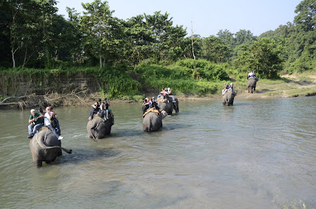 Safari elefanti Nepal - Chitwan National Park