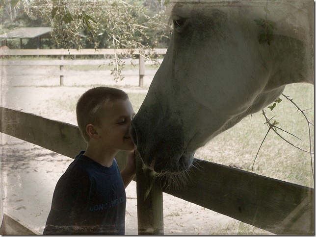 riley and horse