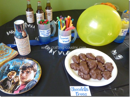 Harry Potter birthday party ideas from the Crafty Cousins (12)