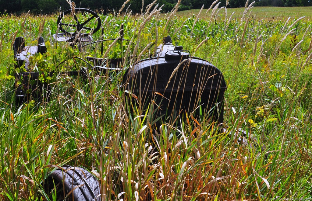 [DSC_0040%255B4%255D.jpg]