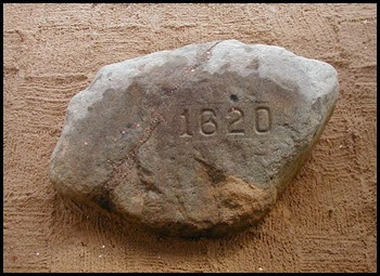 plymouth_rock3