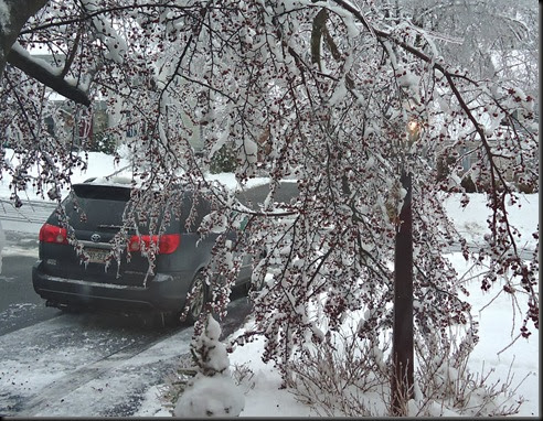 Car and tree in ice